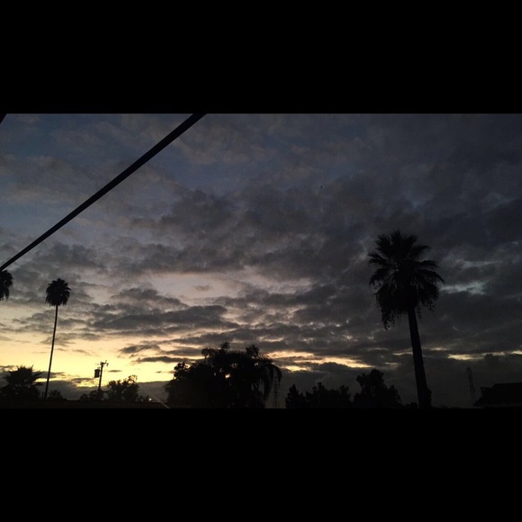 Meet your Posher, Bianca - Picture 1 of 1